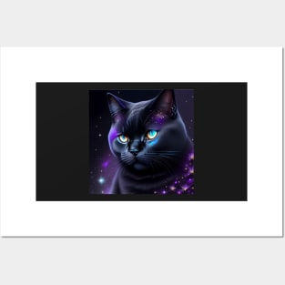 Dark British Shorthair Posters and Art